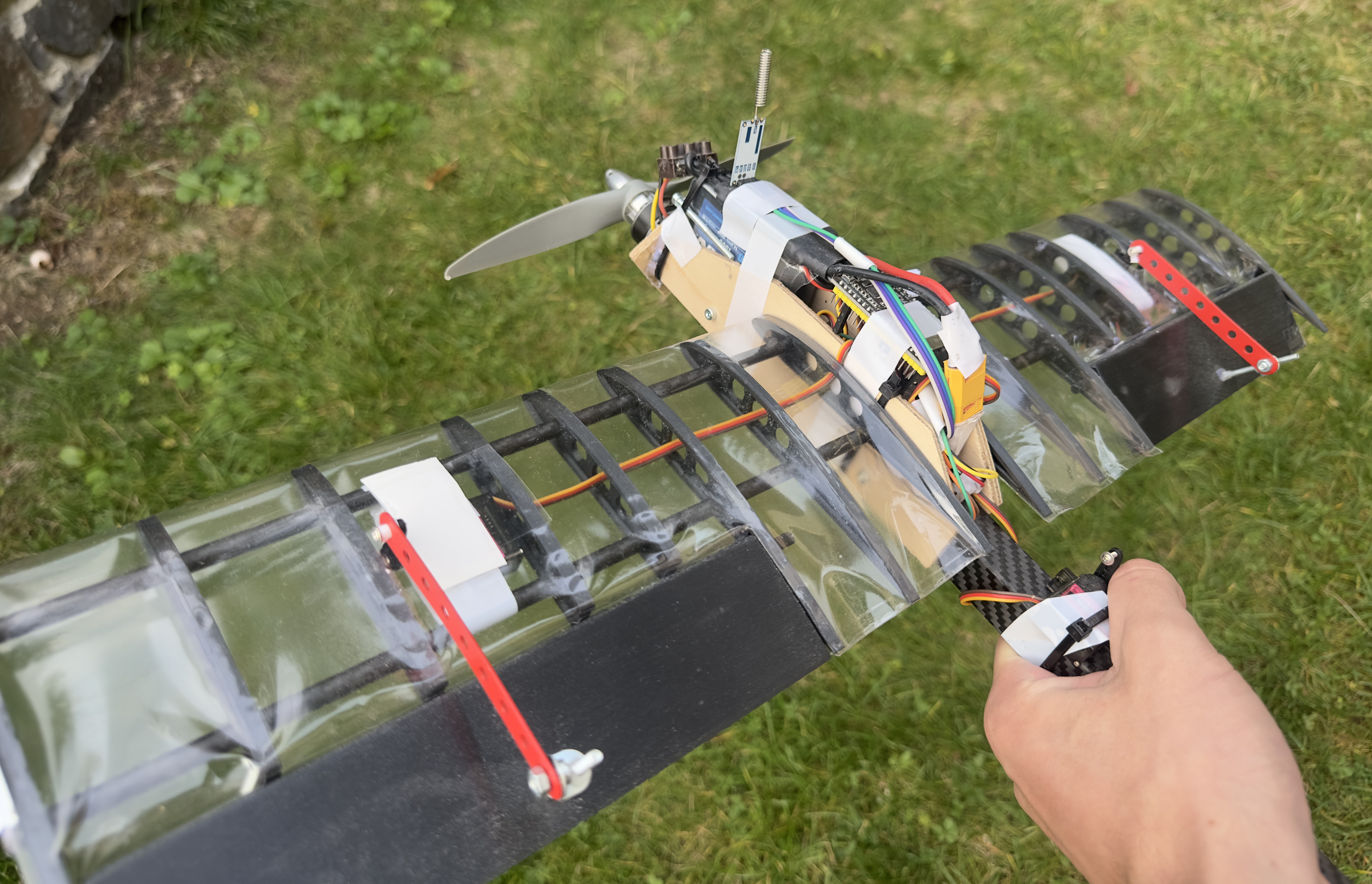 RC plane with wing installed wing surface